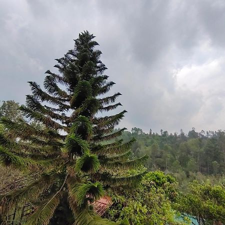 Silver Spruce Entire Nature Villa Kotagiri Εξωτερικό φωτογραφία