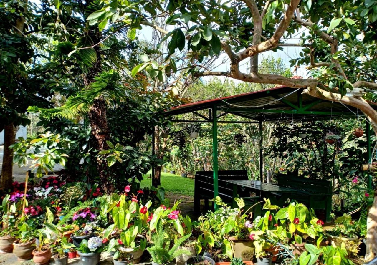 Silver Spruce Entire Nature Villa Kotagiri Εξωτερικό φωτογραφία