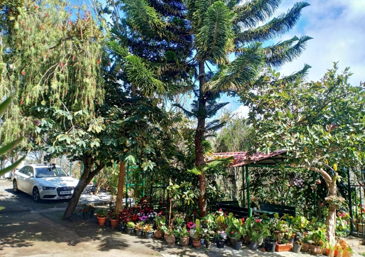 Silver Spruce Entire Nature Villa Kotagiri Εξωτερικό φωτογραφία