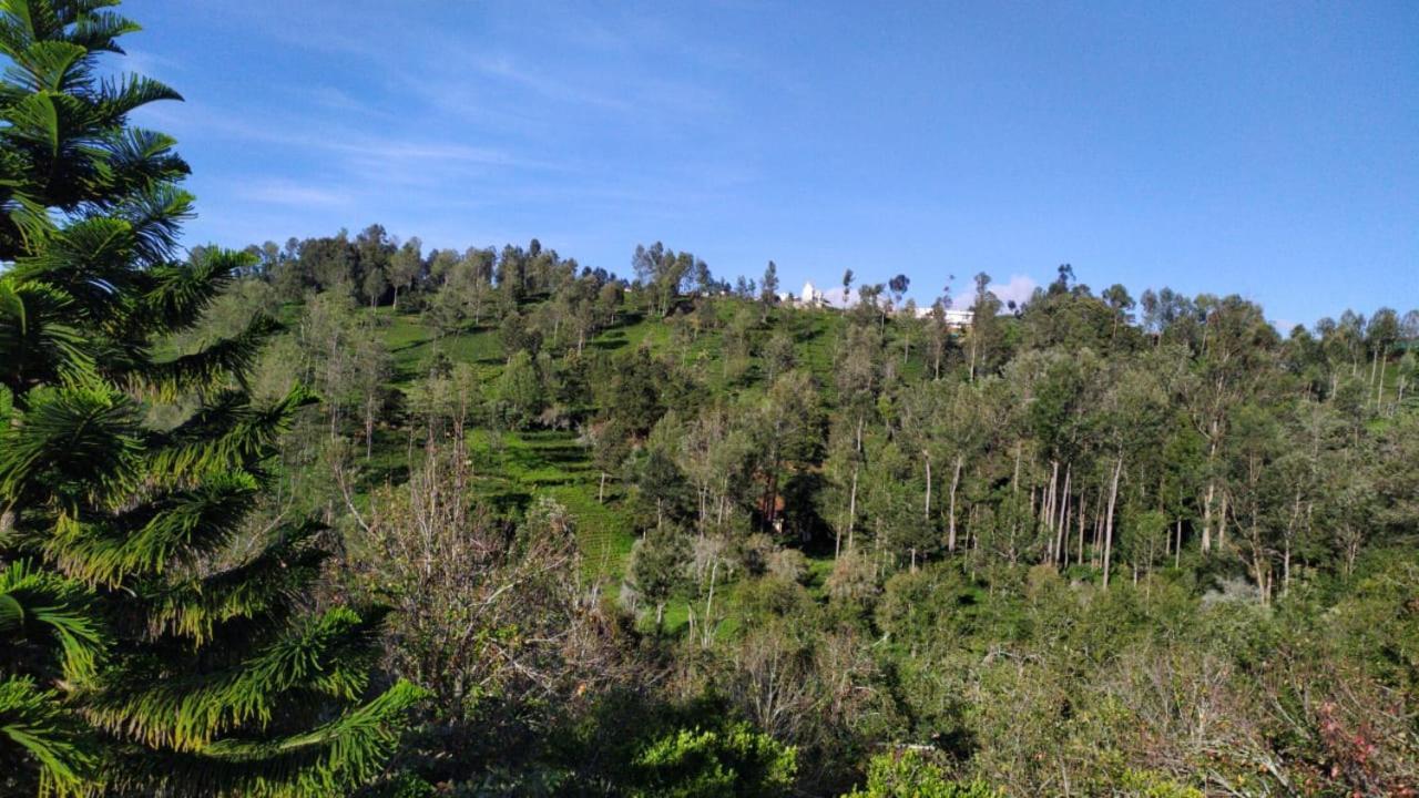 Silver Spruce Entire Nature Villa Kotagiri Εξωτερικό φωτογραφία