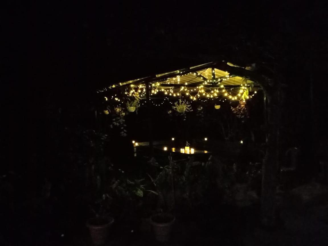 Silver Spruce Entire Nature Villa Kotagiri Εξωτερικό φωτογραφία