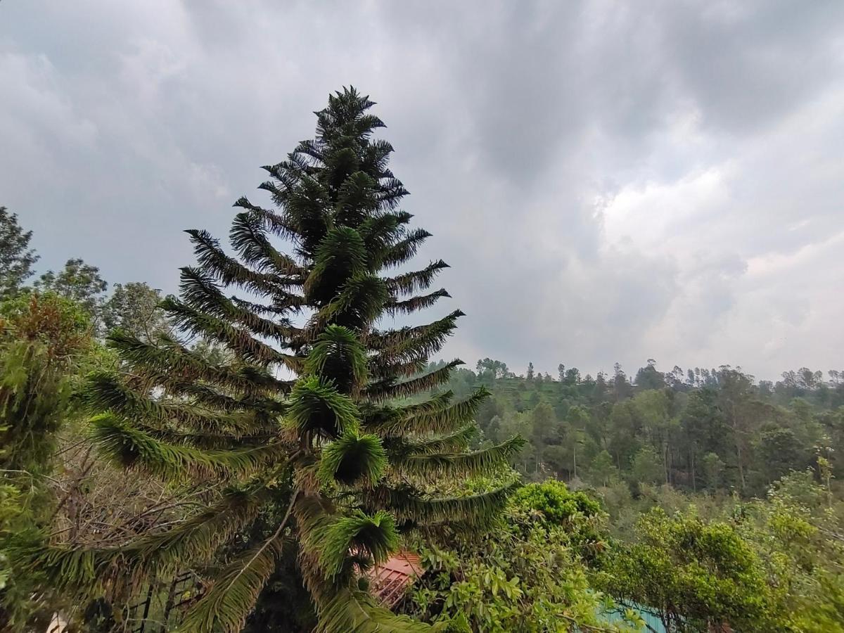Silver Spruce Entire Nature Villa Kotagiri Εξωτερικό φωτογραφία