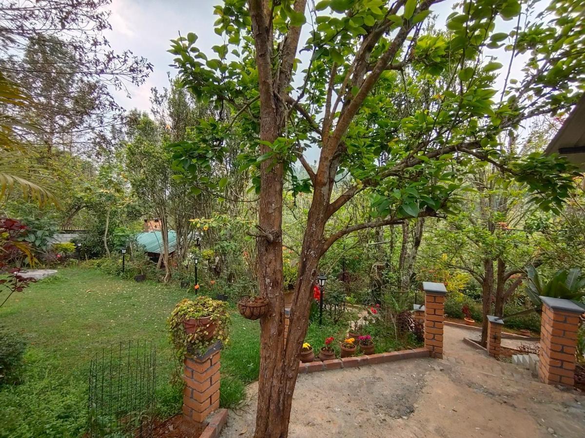 Silver Spruce Entire Nature Villa Kotagiri Εξωτερικό φωτογραφία
