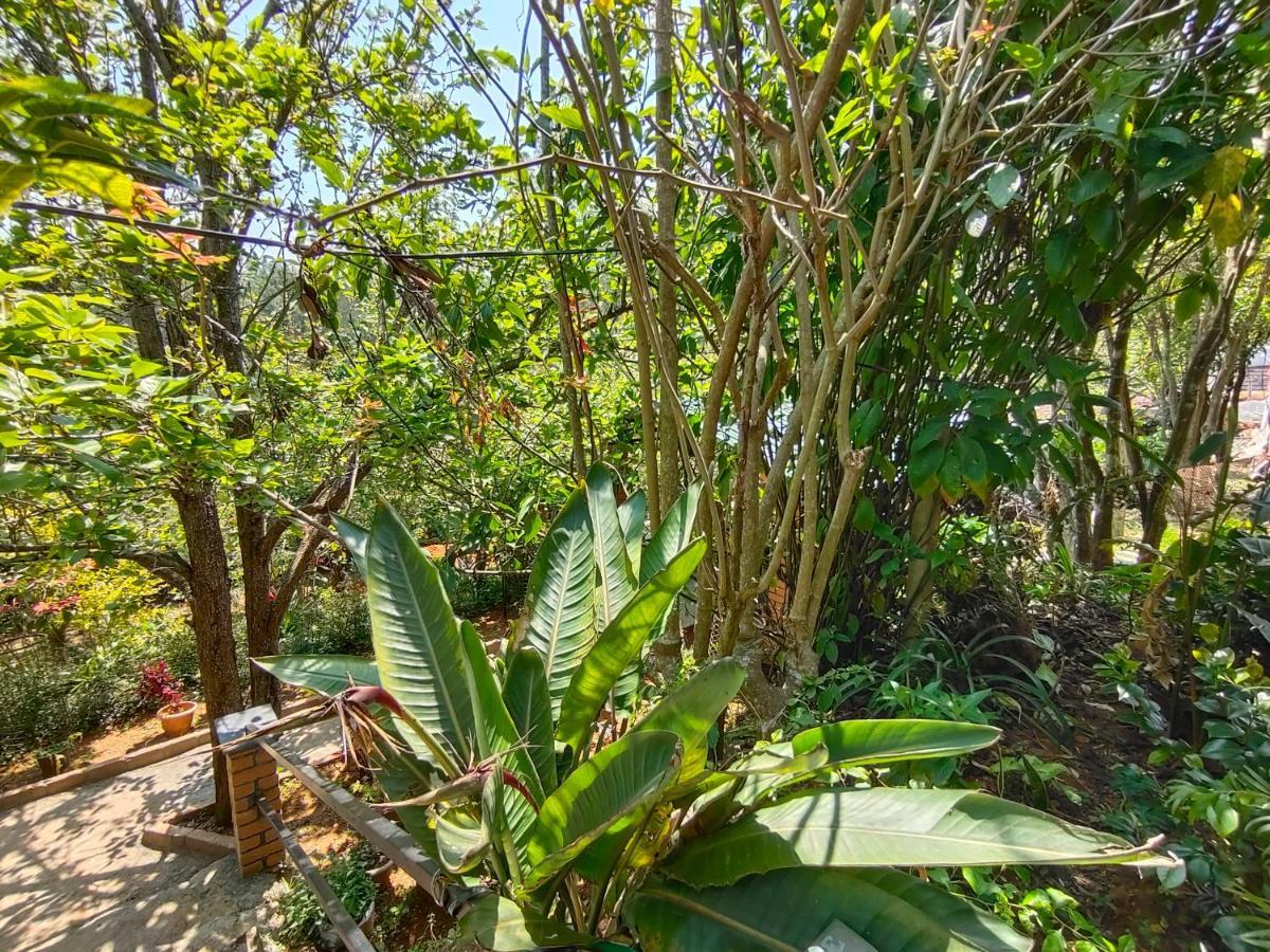 Silver Spruce Entire Nature Villa Kotagiri Εξωτερικό φωτογραφία