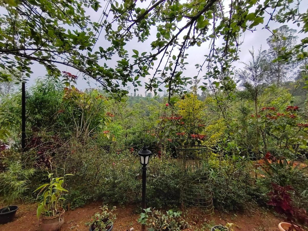 Silver Spruce Entire Nature Villa Kotagiri Εξωτερικό φωτογραφία