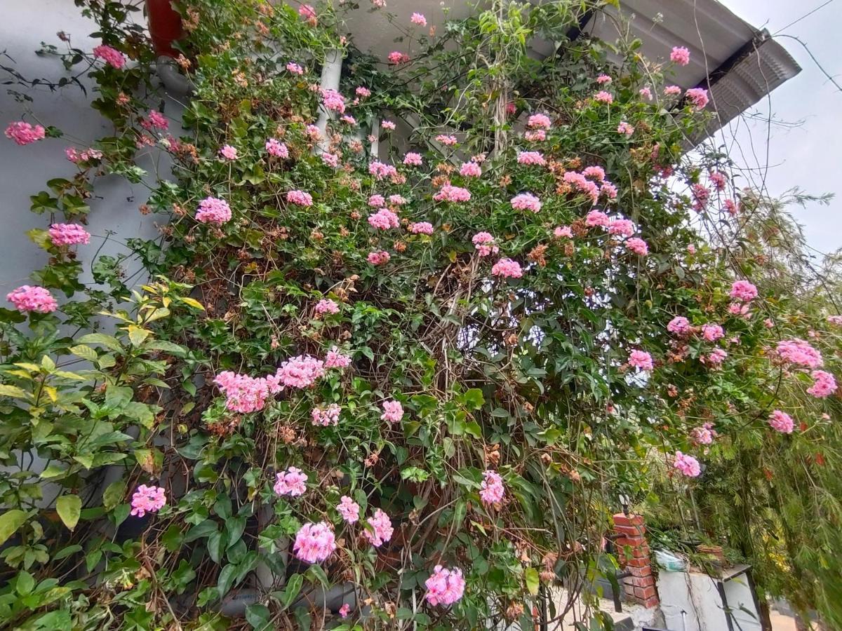 Silver Spruce Entire Nature Villa Kotagiri Εξωτερικό φωτογραφία