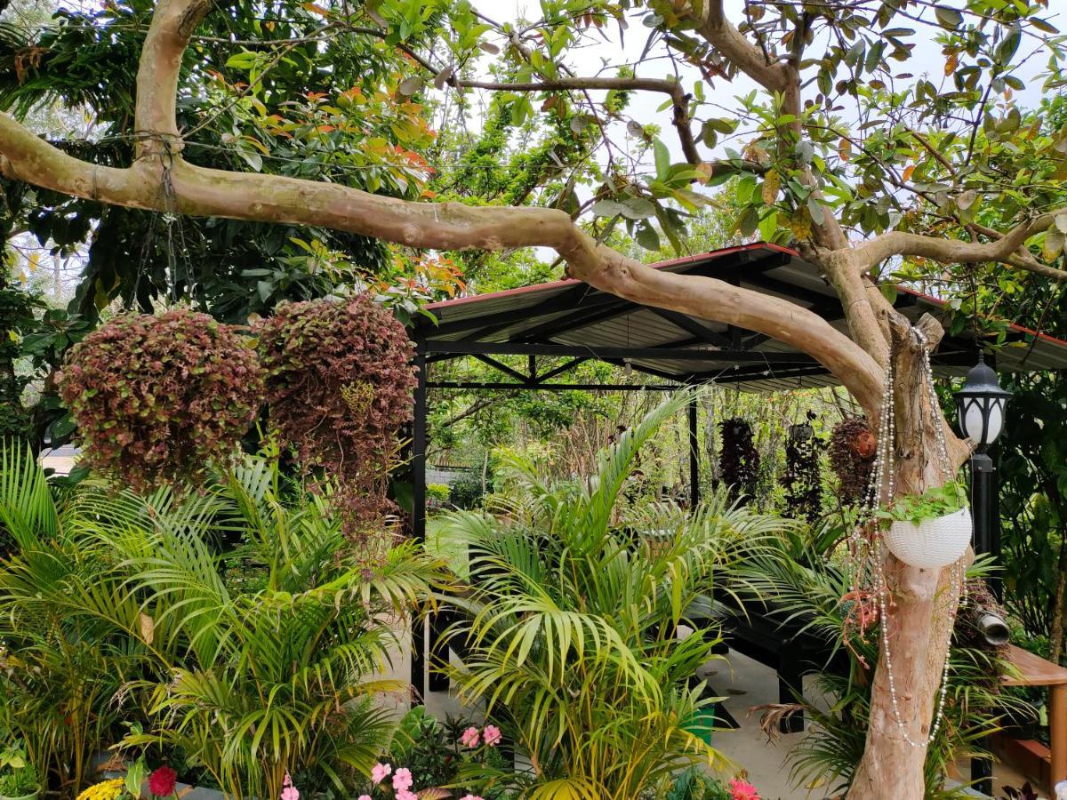 Silver Spruce Entire Nature Villa Kotagiri Εξωτερικό φωτογραφία