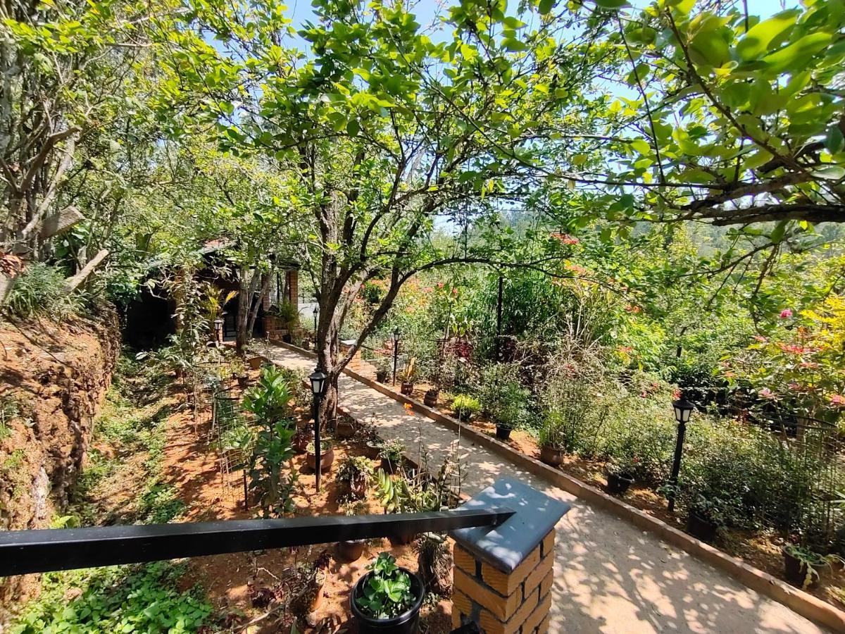 Silver Spruce Entire Nature Villa Kotagiri Εξωτερικό φωτογραφία