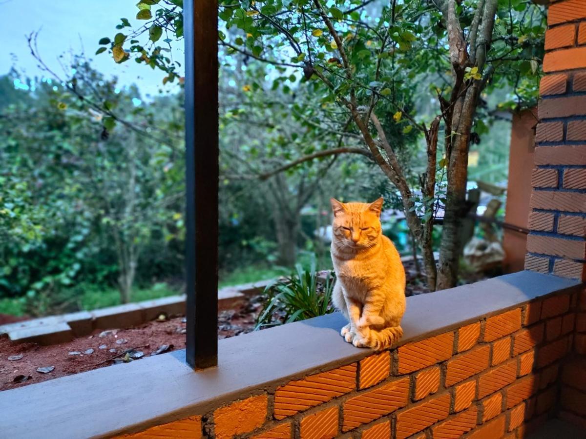 Silver Spruce Entire Nature Villa Kotagiri Εξωτερικό φωτογραφία