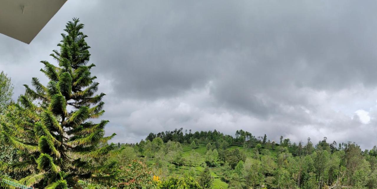 Silver Spruce Entire Nature Villa Kotagiri Εξωτερικό φωτογραφία