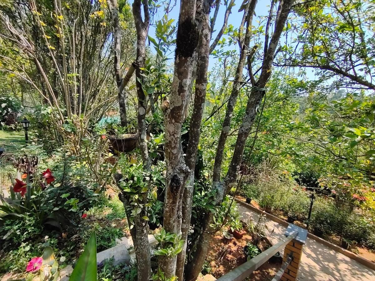 Silver Spruce Entire Nature Villa Kotagiri Εξωτερικό φωτογραφία