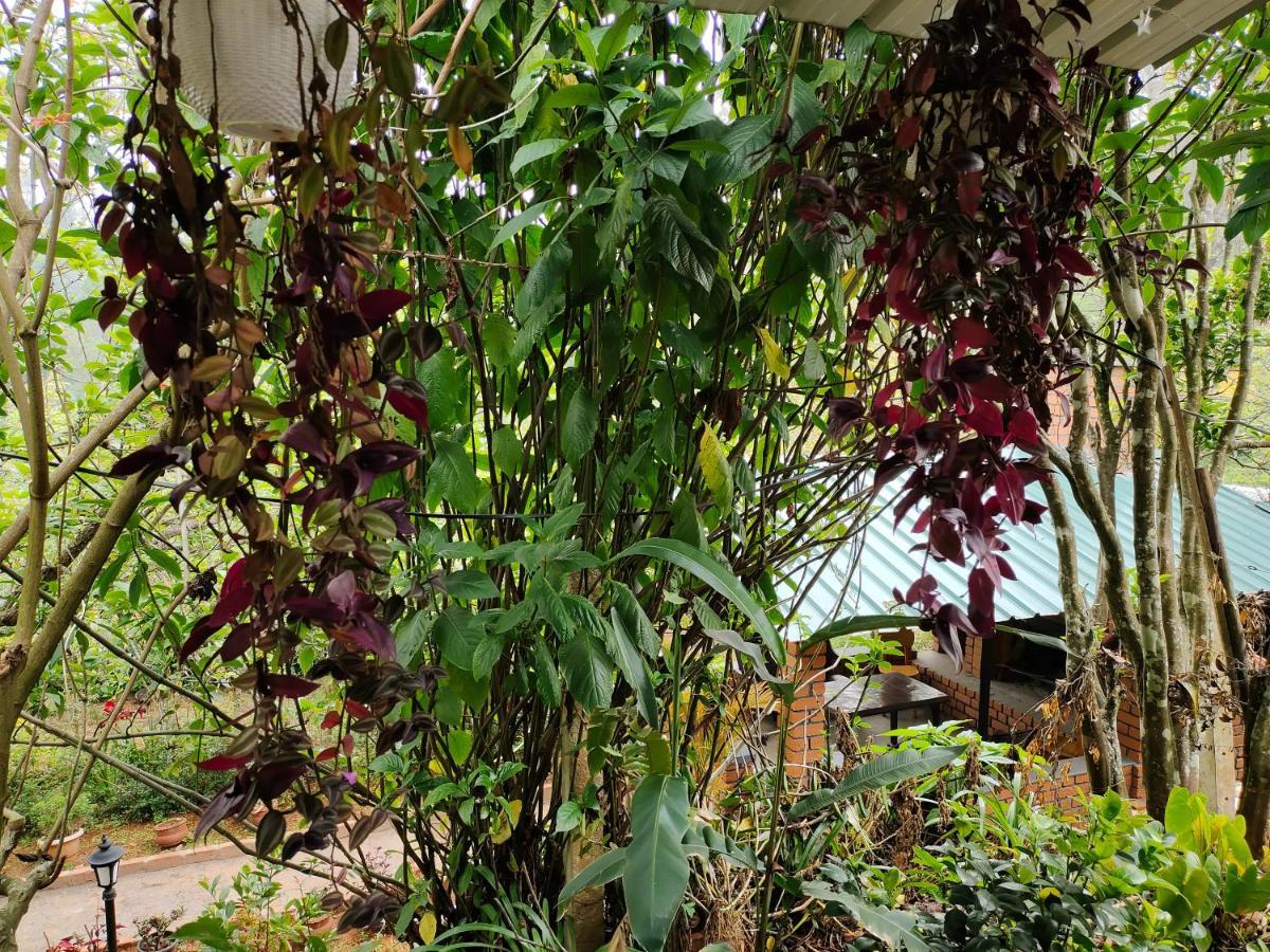 Silver Spruce Entire Nature Villa Kotagiri Εξωτερικό φωτογραφία
